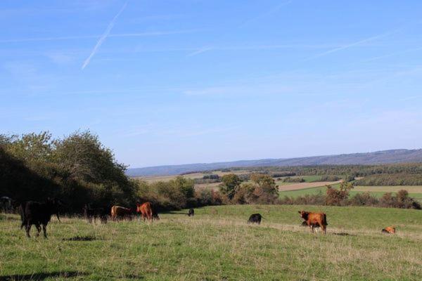 Wancennes Au Chant Du Coq מראה חיצוני תמונה